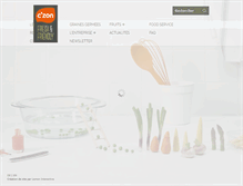 Tablet Screenshot of czon.com